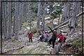 2012-03-06 14-42-05雪山玩雪成功.JPG